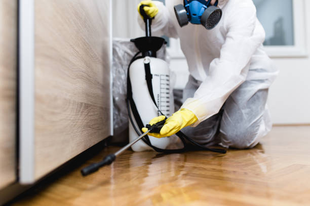 Best Emergency Pest Control  in Buena Vista, CO