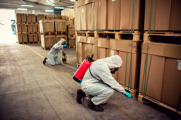Best Commercial Pest Control Services  in Buena Vista, CO