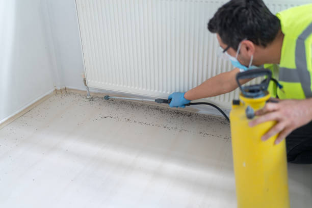 Best Exterminator Services  in Buena Vista, CO