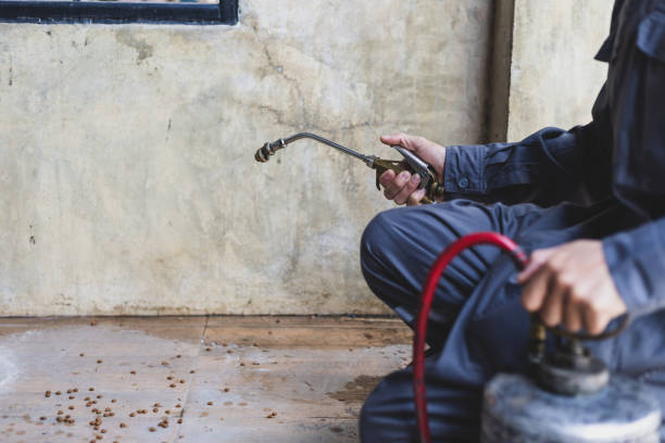 Best Pest Control Near Me  in Buena Vista, CO